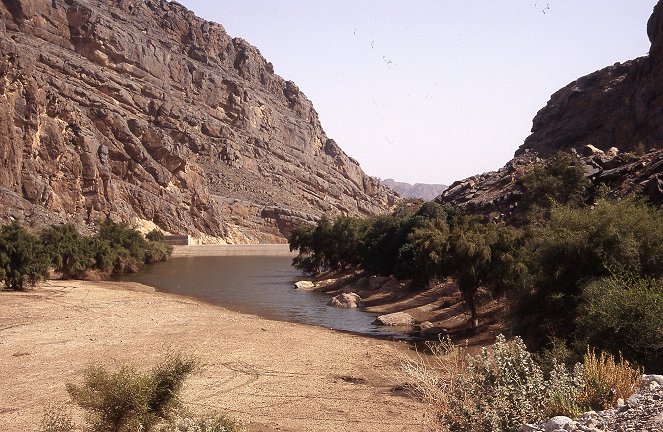 Oman, les roses du désert - Film