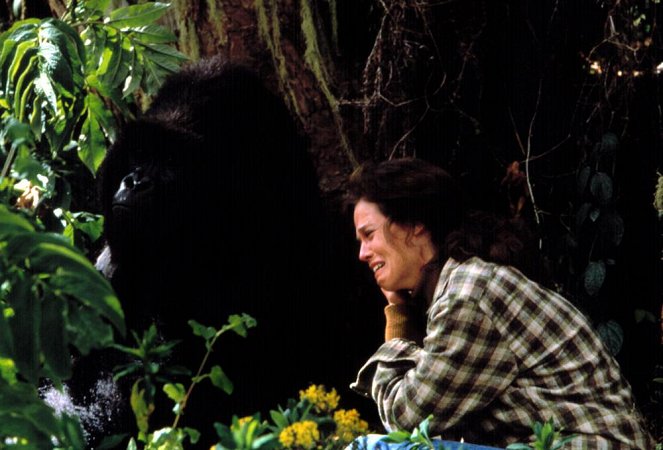 Gorillas in the Mist: The Story of Dian Fossey - Z filmu