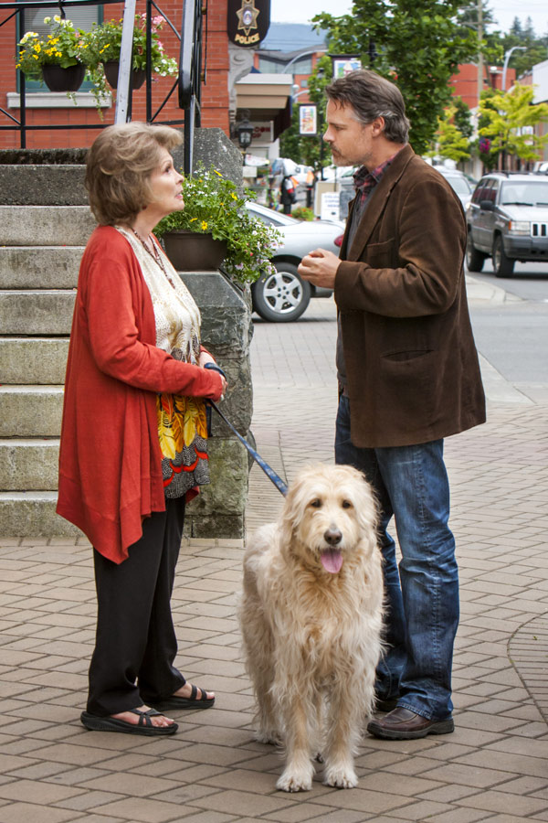 Cedar Cove - Photos - Paula Shaw, Dylan Neal