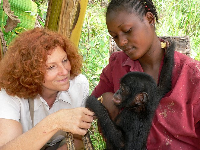 Bonobos - Van film - Claudine André
