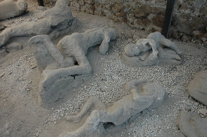 Pompeii: Cellar Of Skeletons - Photos