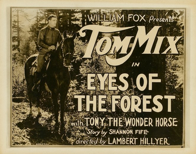 Eyes of the Forest - Fotocromos