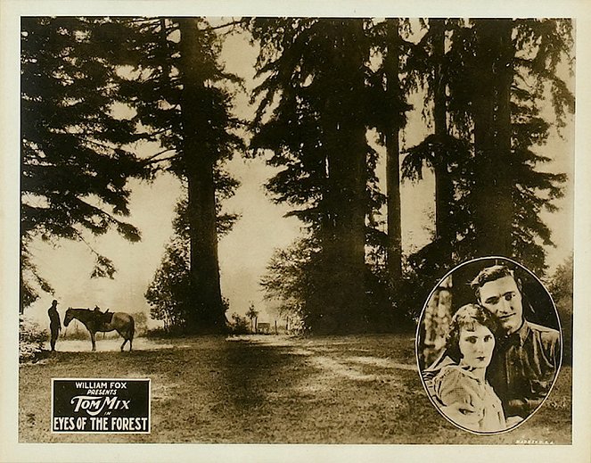 Eyes of the Forest - Lobby Cards