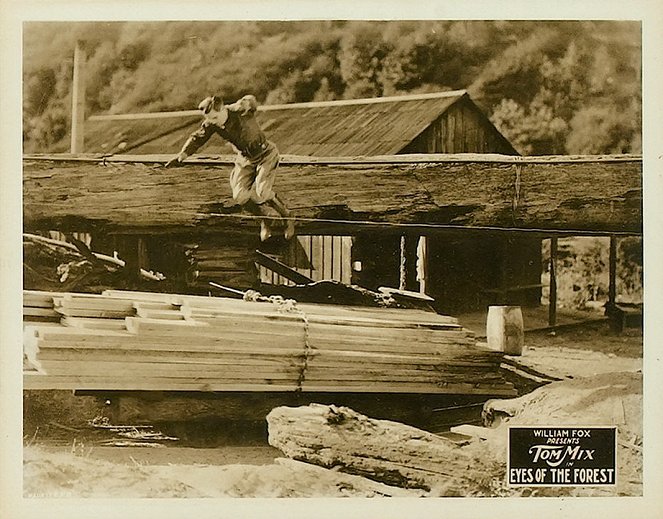 Eyes of the Forest - Lobby Cards