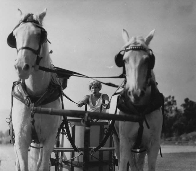 Hevosen sulat - Kuvat elokuvasta - Harpo Marx