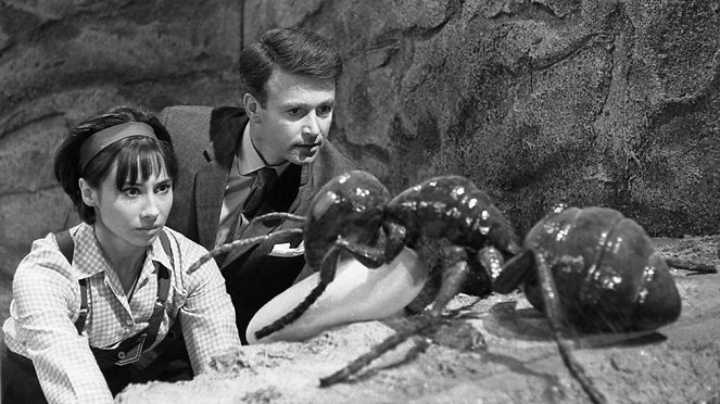 Doctor Who - Planet of Giants: Planet of Giants - Photos