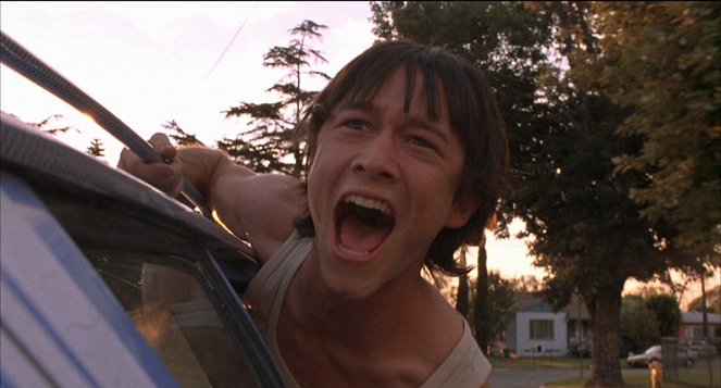 Mysterious Skin - Film - Joseph Gordon-Levitt