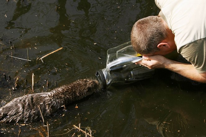 The Otter man of Hungary - Photos