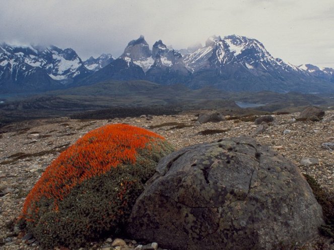 Battlefield Patagonia - Filmfotos