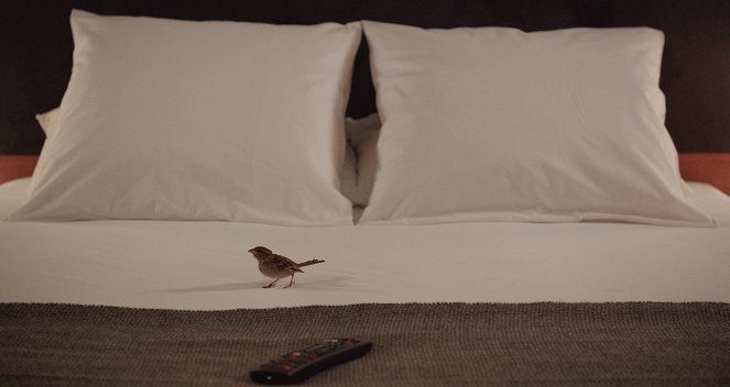 Bird People - Van film