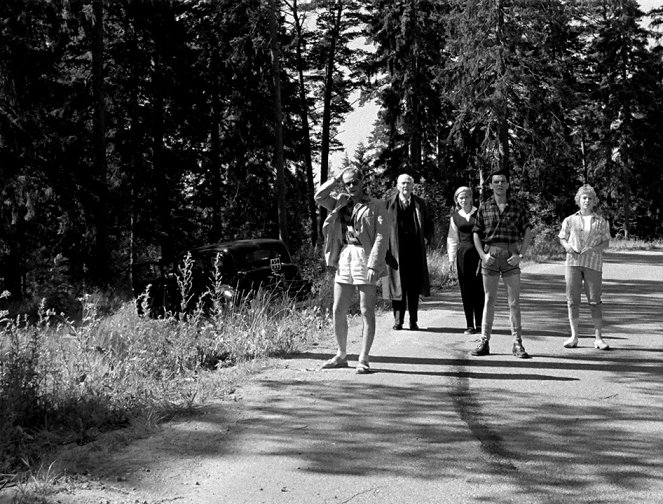 Wild Strawberries - Van film