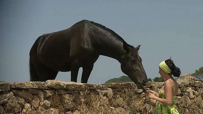 Minorque, les cavaliers de la Saint Jean - Filmfotók