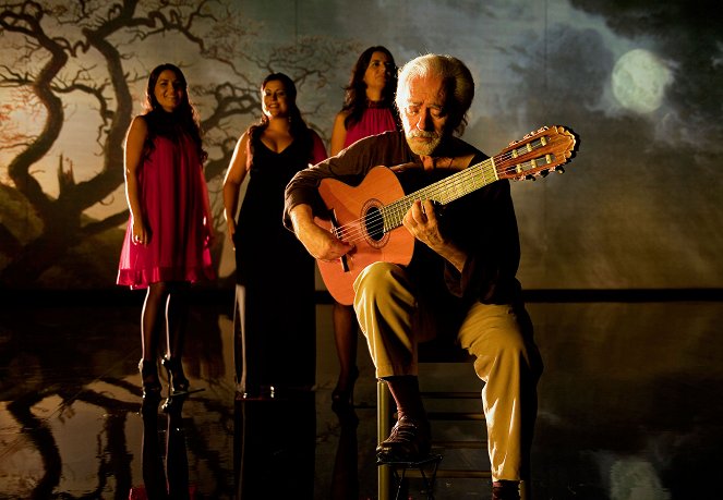Flamenco, Flamenco - Kuvat elokuvasta