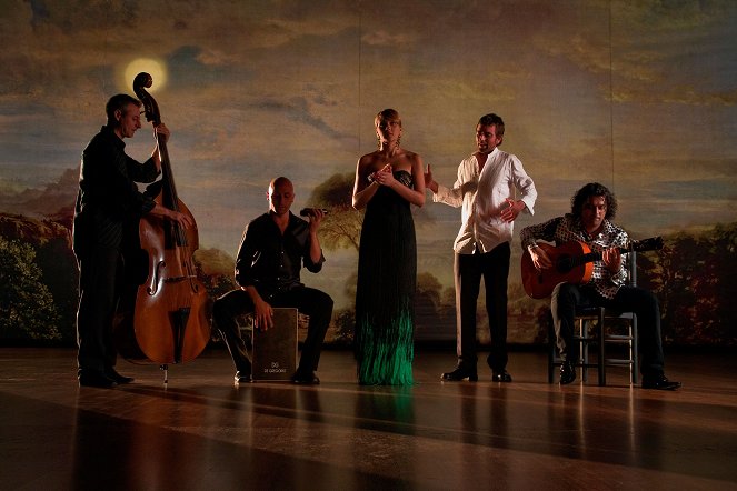 Flamenco, Flamenco - Van film