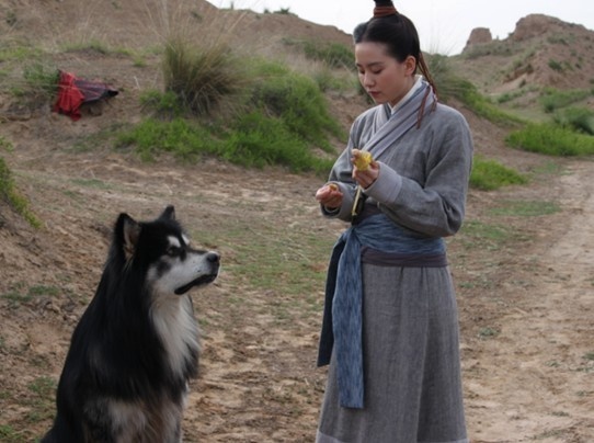 Feng zhong qi yuan - De la película