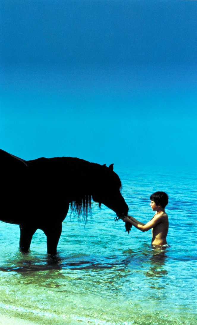 O Cavalo Preto - Do filme - Kelly Reno