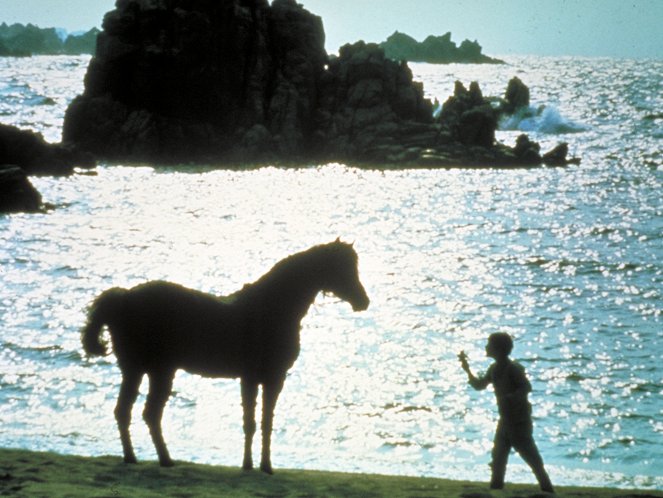 O Cavalo Preto - De filmes
