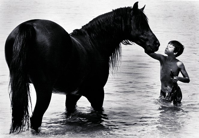 The Black Stallion - Photos - Kelly Reno