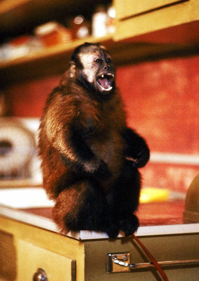 Der Affe im Menschen - Filmfotos