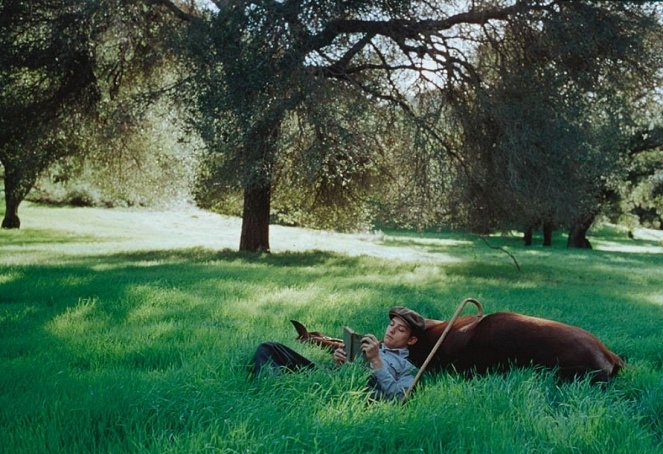 Vágta - Filmfotók - Tobey Maguire
