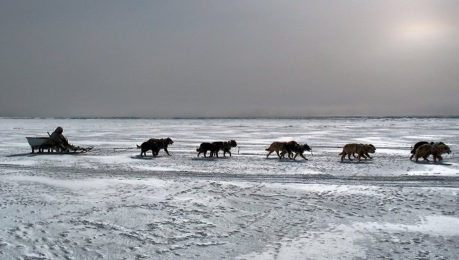 Kinder der Tundra - Überleben im Eis - De la película