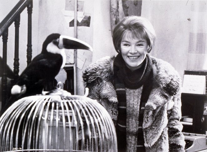 Domingo, Maldito Domingo - Do filme - Glenda Jackson