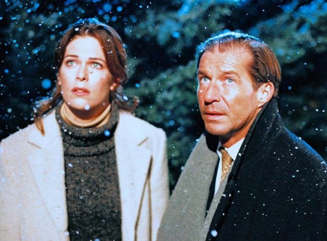 Ein himmliches Weihnachtsgeschenk - Film - Ursula Buschhorn, Michael Lesch