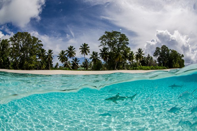 Secret Seychelles: D'arros - Kuvat elokuvasta