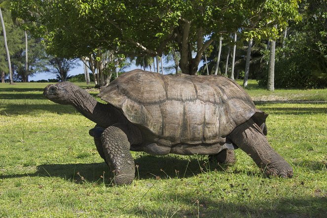 Secret Seychelles: D'arros - Kuvat elokuvasta