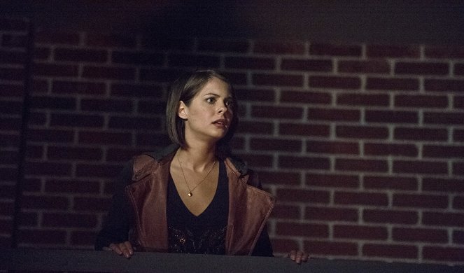 Arrow - Season 3 - El origen secreto de Felicity Smoak - De la película - Willa Holland