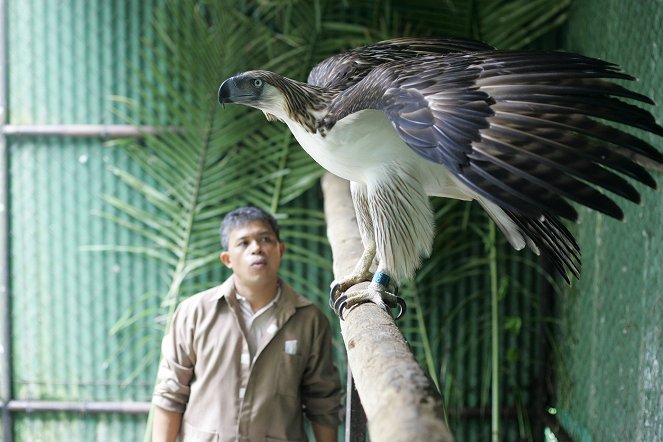 Philippinen - Rendezvous mit einem Adler - Filmfotos