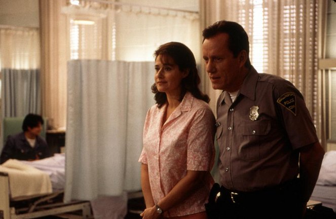 Riding in Cars with Boys - Photos - Lorraine Bracco, James Woods