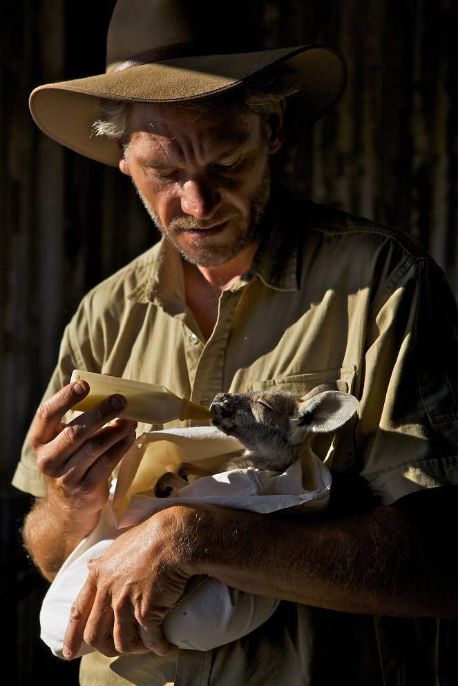 A természeti világ - Season 31 - Kangaroo Dundee: Part 1 - Filmfotók