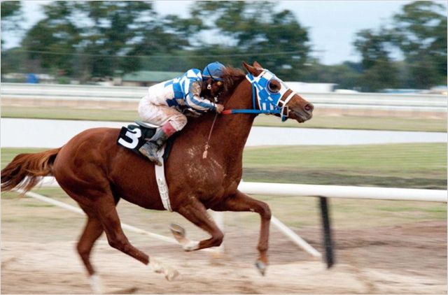 Secretariat - Ein Pferd wird zur Legende - Filmfotos