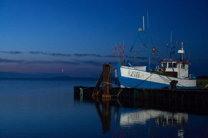 Große Fische, kleine Fische - Photos