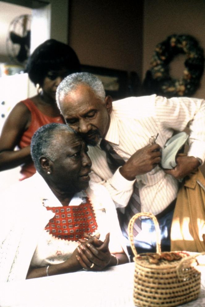 Down in the Delta - Filmfotos - Esther Rolle, Al Freeman Jr.