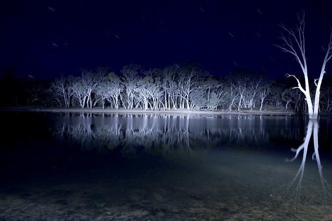 Lake Mungo - Van film