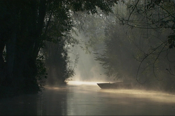 Les Marais criminels - Film