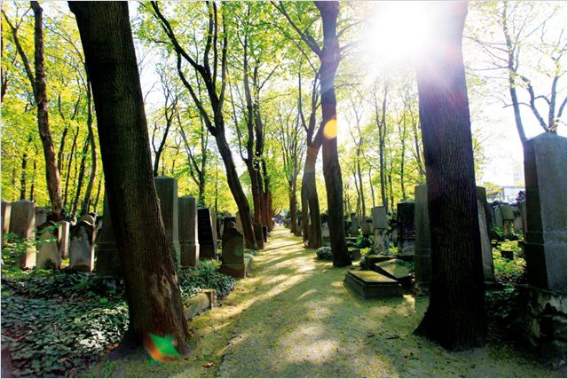 Im Himmel, unter der Erde - Der jüdische Friedhof Weißensee - De la película