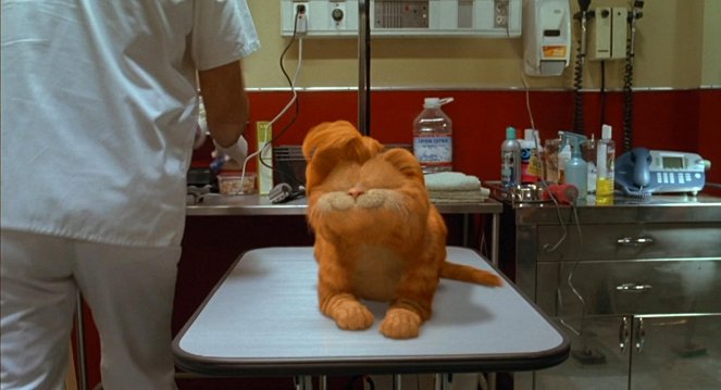 Garfield - Do filme