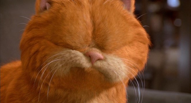 Garfield: La película - De la película