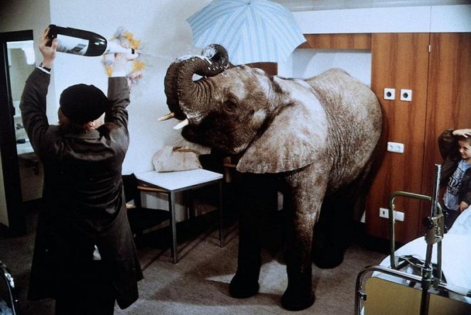 Ein Elefant im Krankenhaus - Filmfotos