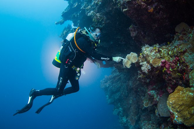 Élet a Nagy-korallzátonyon - Filmfotók