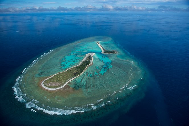 Élet a Nagy-korallzátonyon - Filmfotók