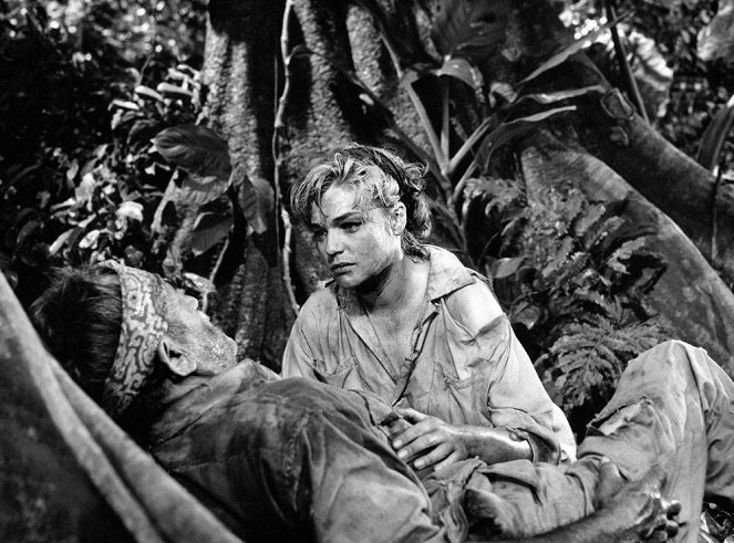 Pesthauch des Dschungels - Filmfotos - Simone Signoret