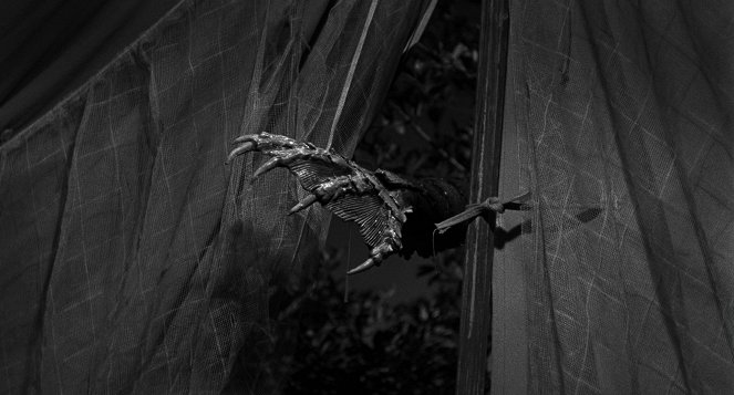Creature from the Black Lagoon - Photos