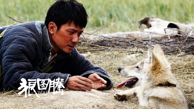 Wolf Totem - Lobby Cards - William Feng