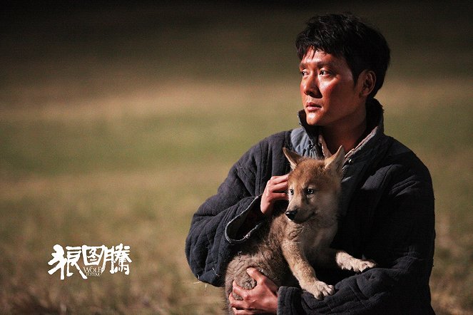 Wolf Totem - Lobby Cards - William Feng