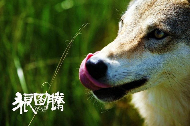 Wolf Totem - Lobby Cards