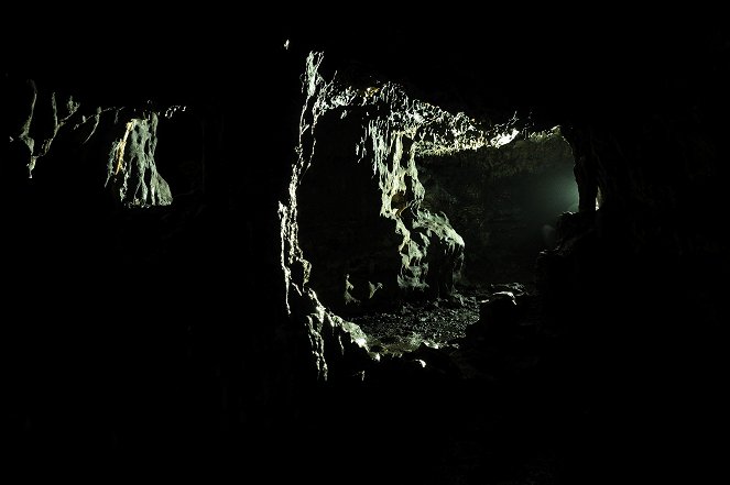 A Caverna - De filmes